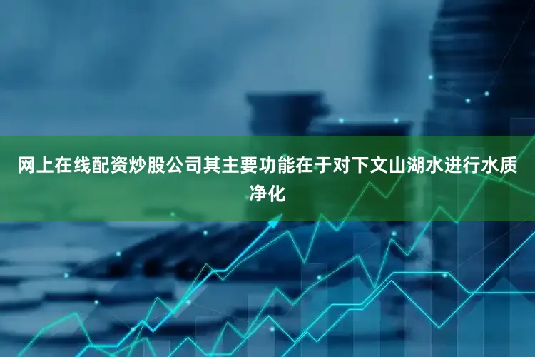 网上在线配资炒股公司其主要功能在于对下文山湖水进行水质净化